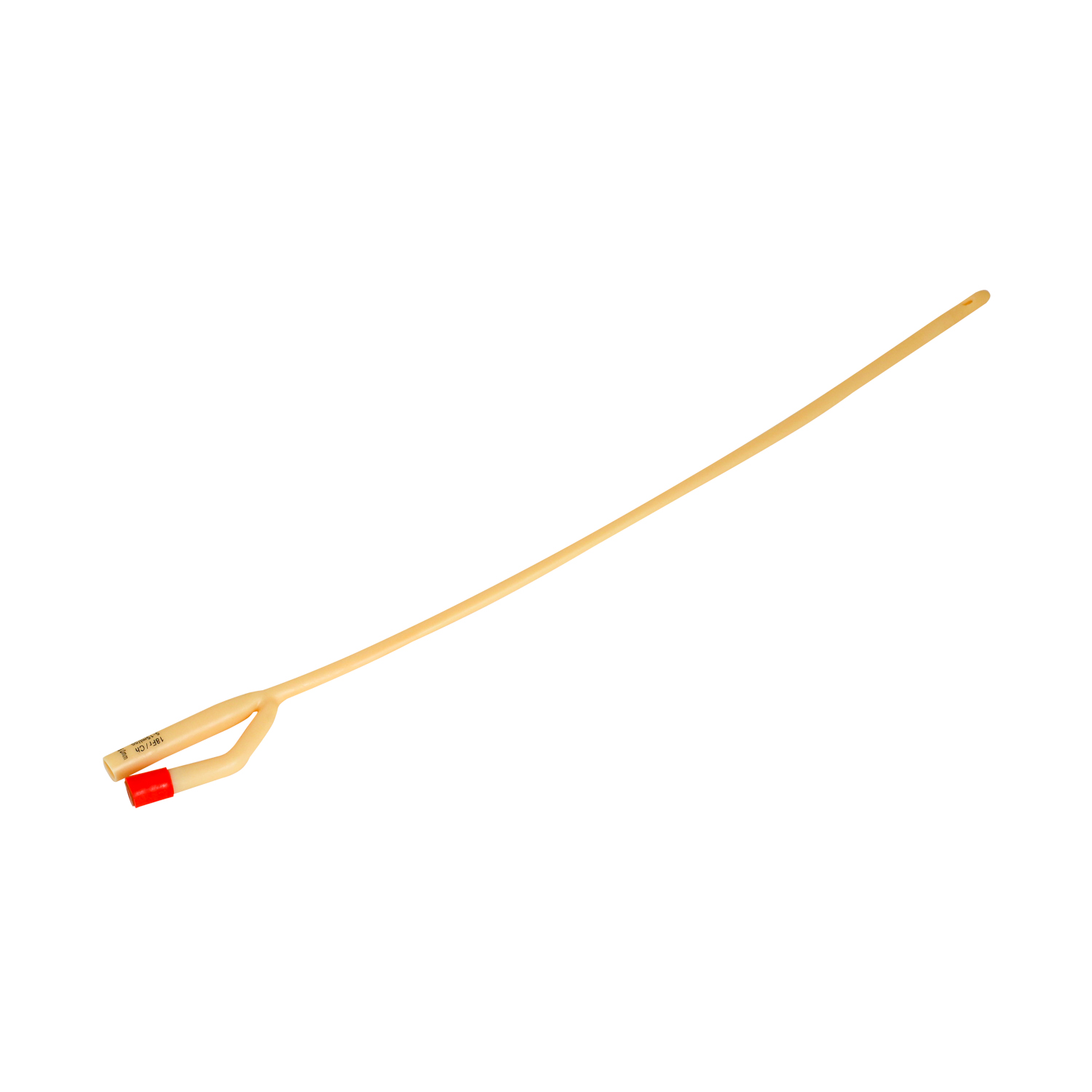 foley catheter latex